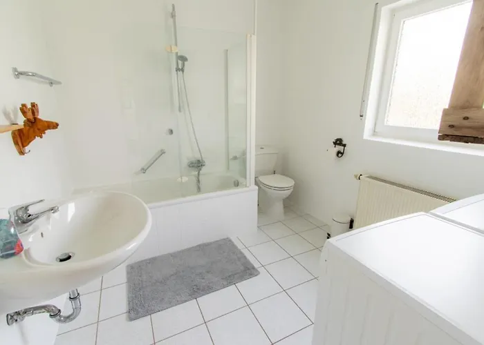 Am -teichanlage Kern