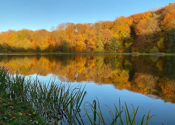 Am -teichanlage Kern * Oberelbert